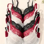 6pcs Elegant Red Lace Bra Set